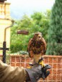/album/fotogalerie-fotogalerie/img-6409-jpg/
