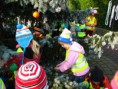 /album/zdobeni-vanocniho-stromu-25-11-2011/img-7226-jpg/