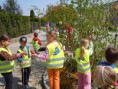 /album/zdobeni-velikonocniho-stromu-18-4-2011/dscn0557-jpg/