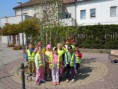 /album/zdobeni-velikonocniho-stromu-18-4-2011/dscn0578-jpg/