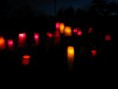 /album/carodejnicky-den-a-noc/img-4628-jpg/