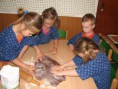 /album/peceni-pernicku-pro-maminky-2-5-2012/img-4913-jpg/
