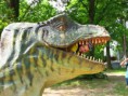 /album/vylet-do-zoo-a-dinoparku-v-plzni-22-5-2012/img-5699-jpg/