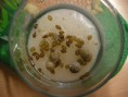 /album/zizali-skolka/dscn4850-jpg/