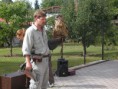 /album/sokolnicke-predstaveni-7-9-2012/dscn5007-jpg/