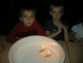 /album/vanocni-zvyky/dscn5206-jpg/