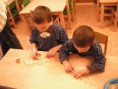 /album/peceni-vanocniho-cukrovi-12-12-2012/dscn5349-jpg/