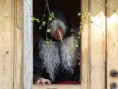 /album/carodejnicky-den-a-noc-24-25-4-2013/img-8152-jpg/
