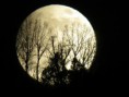 /album/carodejnicky-den-a-noc-24-25-4-2013/img-8270-jpg/