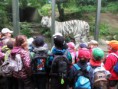 /album/vylet-zoo-liberec-10-6-2013/img-0171-jpg/