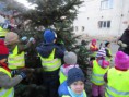 /album/zdobeni-vanocniho-stromu-27-11-2013/img-6805-jpg/