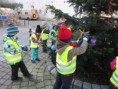 /album/zdobeni-vanocniho-stromu-27-11-2013/img-6812-jpg/