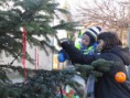 /album/zdobeni-vanocniho-stromu-27-11-2013/img-6816-jpg/