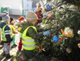 /album/zdobeni-vanocniho-stromu-27-11-2013/img-6830-jpg/