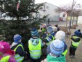 /album/zdobeni-masopustniho-stromu-20-2-2014/img-4275-jpg/