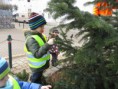 /album/zdobeni-masopustniho-stromu-20-2-2014/img-4280-jpg/