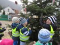 /album/zdobeni-masopustniho-stromu-20-2-2014/img-4289-jpg/