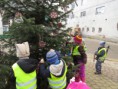 /album/zdobeni-masopustniho-stromu-20-2-2014/img-4292-jpg/
