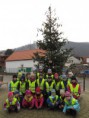 /album/zdobeni-masopustniho-stromu-20-2-2014/img-4300-jpg/