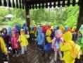 /album/vylet-do-zoo-a-dinoparku-v-plzni-29-5-2014/img-8640-jpg/