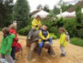/album/vylet-do-zoo-a-dinoparku-v-plzni-29-5-2014/img-8695-jpg/