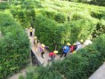 /album/vylet-labyrinty-loucen-19-6-2014/img-9041-jpg/