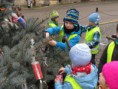 /album/zdobeni-masopustniho-stromu-10-2-2015/img-5069-jpg/