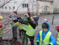 /album/zdobeni-velikonocniho-stromu-na-masopustnim-namesti-31-3-2015/img-0787-jpg/