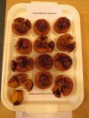 /album/soutez-o-nej-dynovy-recept-18-10-2016/img-2336-jpg/