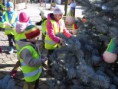 /album/zdobeni-masopustniho-stromu-2-3-2017/img-3506-jpg/