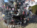 /album/zdobeni-masopustniho-stromu-2-3-2017/img-3524-jpg/