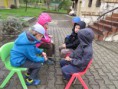 /album/pleteme-pomlazky-12-4-2017/img-3657-jpg/