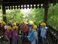 /album/vylet-zoo-a-dinopark-plzen-7-6-2017/img-4039-jpg/
