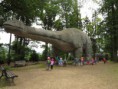 /album/vylet-zoo-a-dinopark-plzen-7-6-2017/img-4067-jpg/