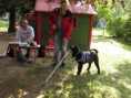 /album/navsteva-nevidomych-a-vodiciho-psa-14-6-2017/img-4130-jpg/