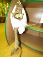 /album/soutez-o-nej-otesanka/img-4083-jpg/