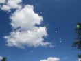 /album/oslava-dne-otcu-18-6-2018/img-7211-jpg/